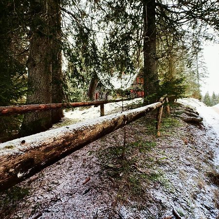 Chalet Stara Jelka Pokljuka Zgornje Gorje Zewnętrze zdjęcie
