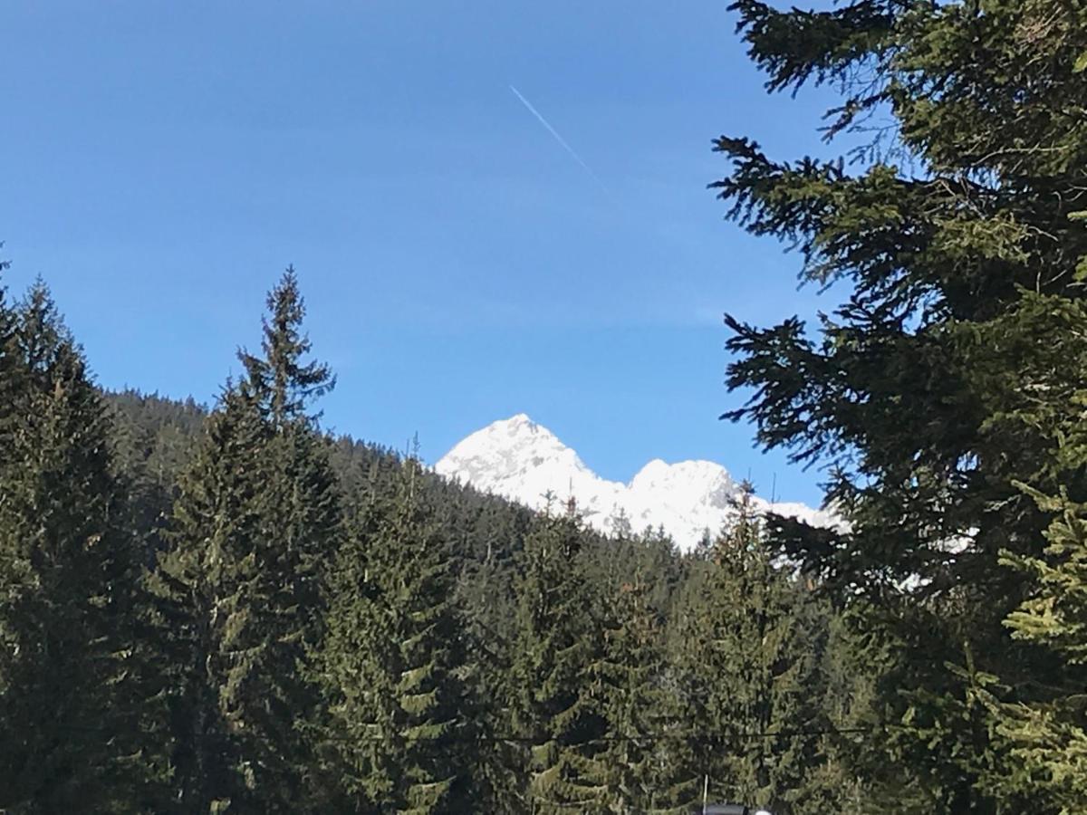 Chalet Stara Jelka Pokljuka Zgornje Gorje Zewnętrze zdjęcie