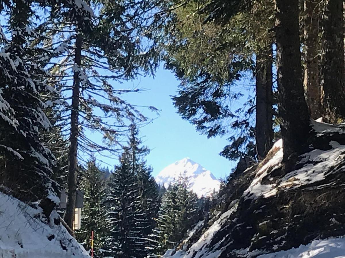Chalet Stara Jelka Pokljuka Zgornje Gorje Zewnętrze zdjęcie