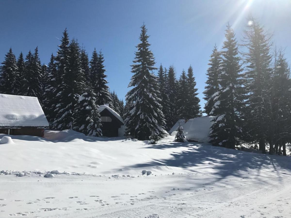 Chalet Stara Jelka Pokljuka Zgornje Gorje Zewnętrze zdjęcie