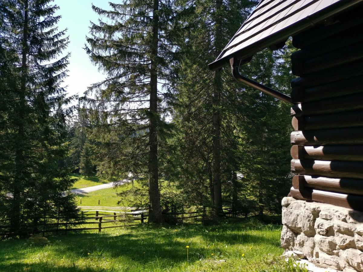 Chalet Stara Jelka Pokljuka Zgornje Gorje Zewnętrze zdjęcie