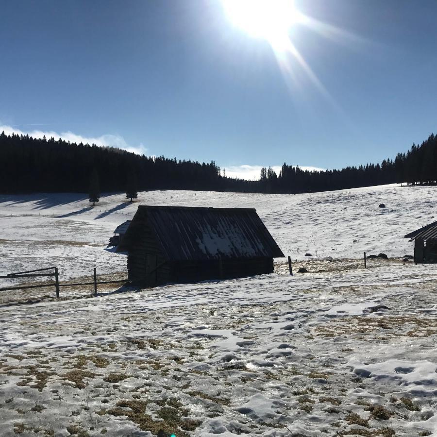 Chalet Stara Jelka Pokljuka Zgornje Gorje Zewnętrze zdjęcie