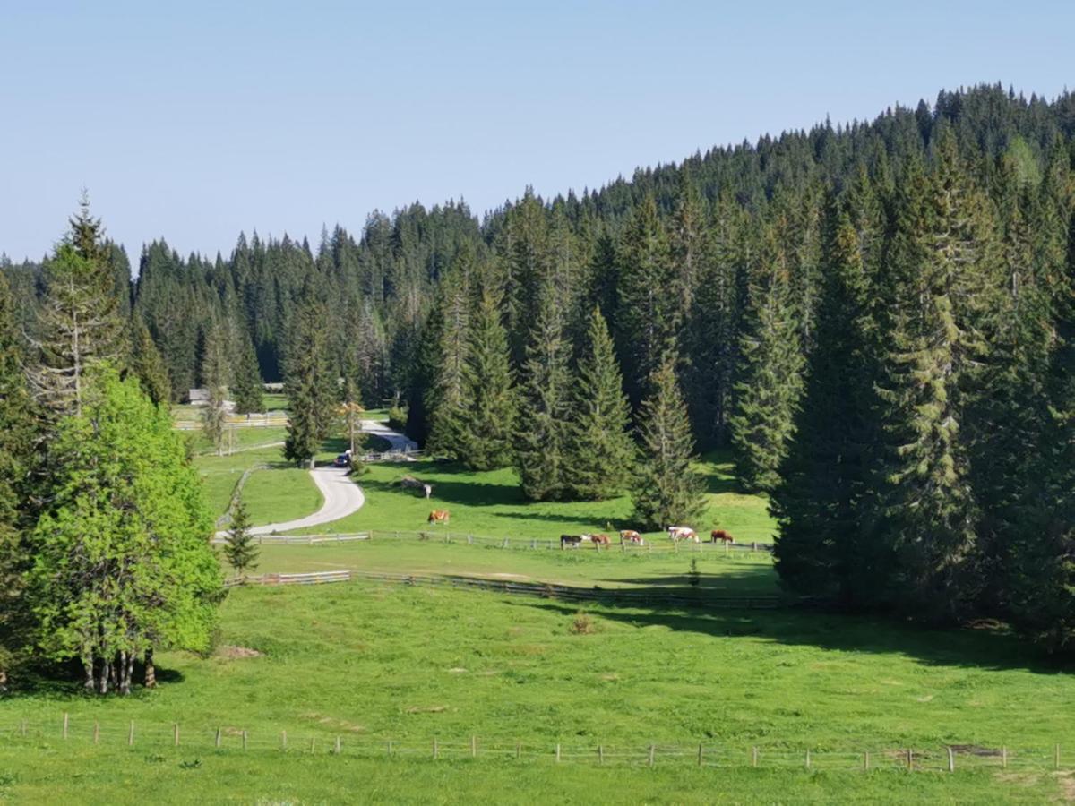 Chalet Stara Jelka Pokljuka Zgornje Gorje Zewnętrze zdjęcie
