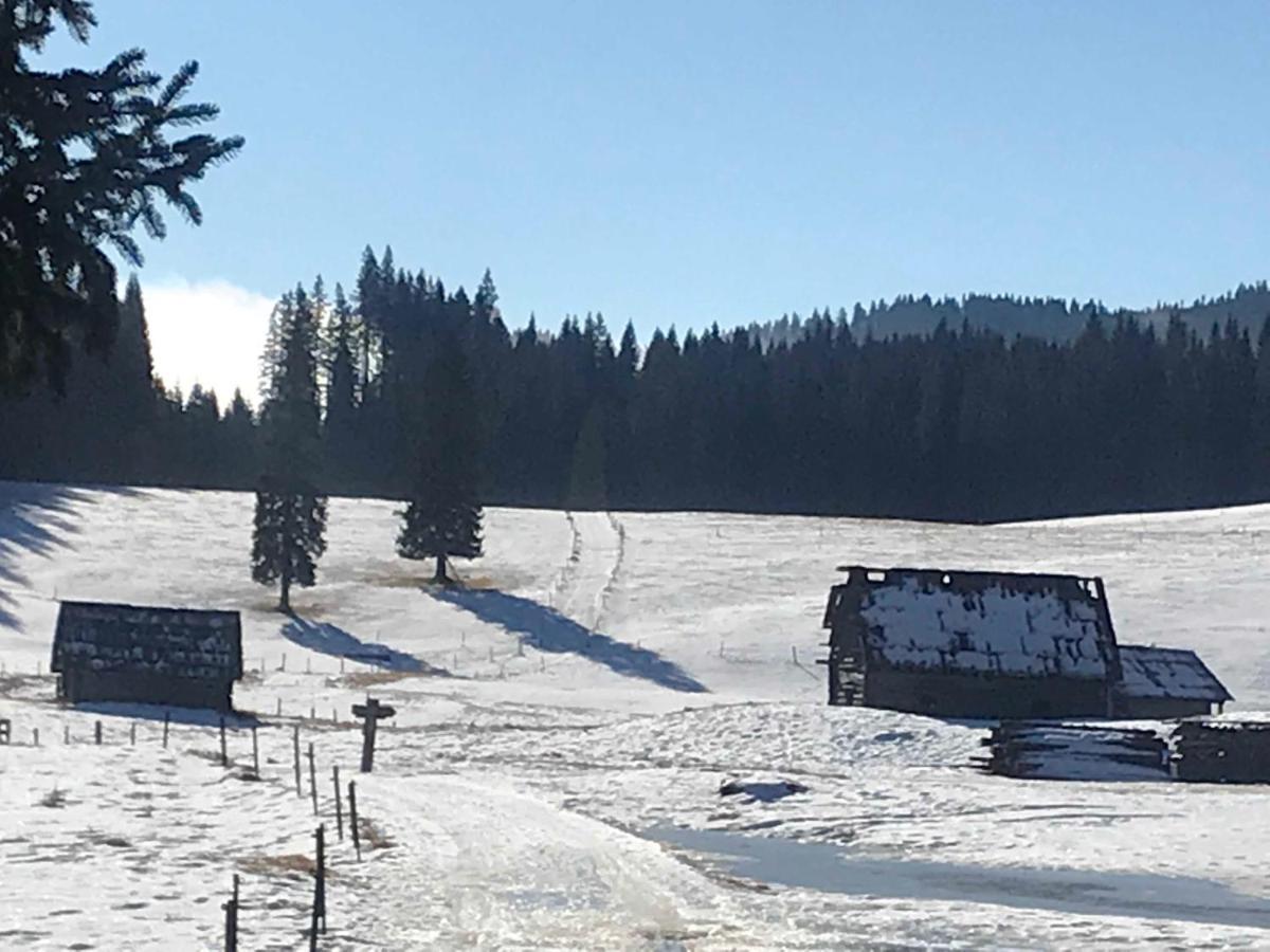 Chalet Stara Jelka Pokljuka Zgornje Gorje Zewnętrze zdjęcie