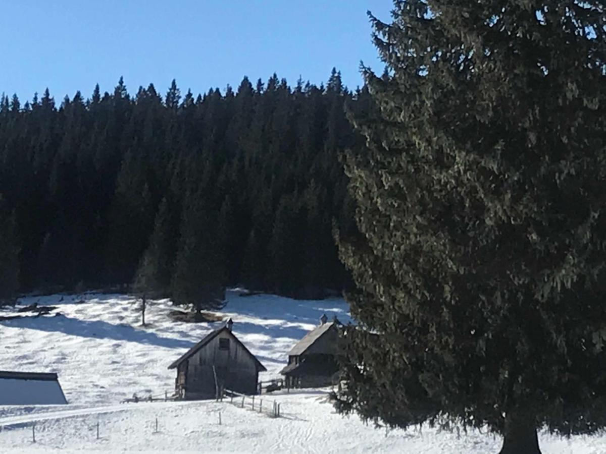 Chalet Stara Jelka Pokljuka Zgornje Gorje Zewnętrze zdjęcie