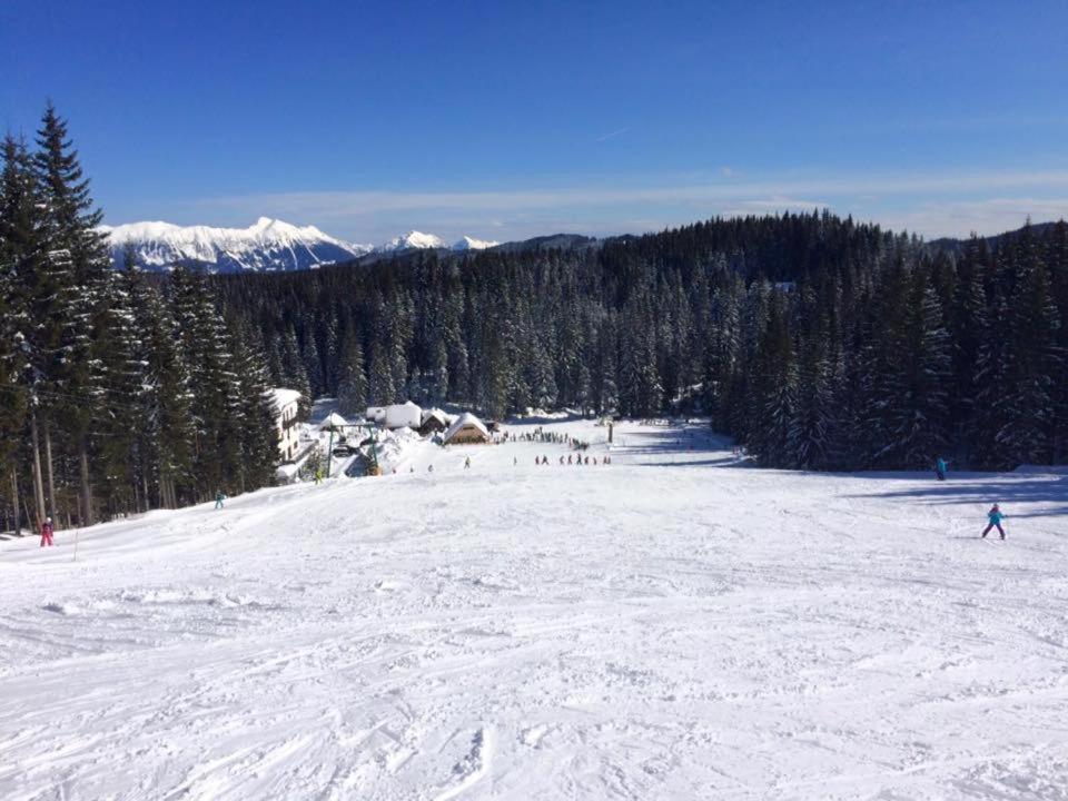 Chalet Stara Jelka Pokljuka Zgornje Gorje Zewnętrze zdjęcie