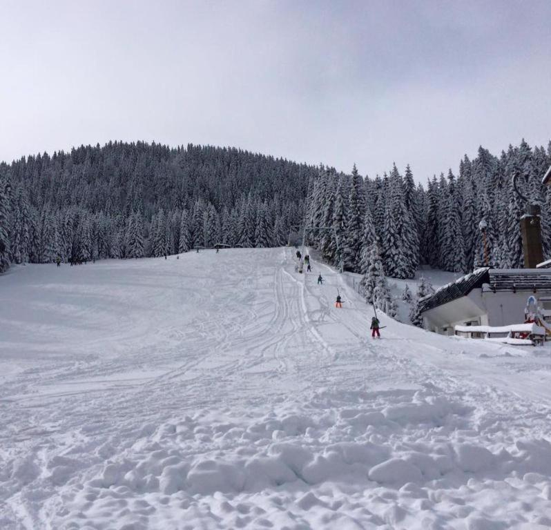 Chalet Stara Jelka Pokljuka Zgornje Gorje Zewnętrze zdjęcie