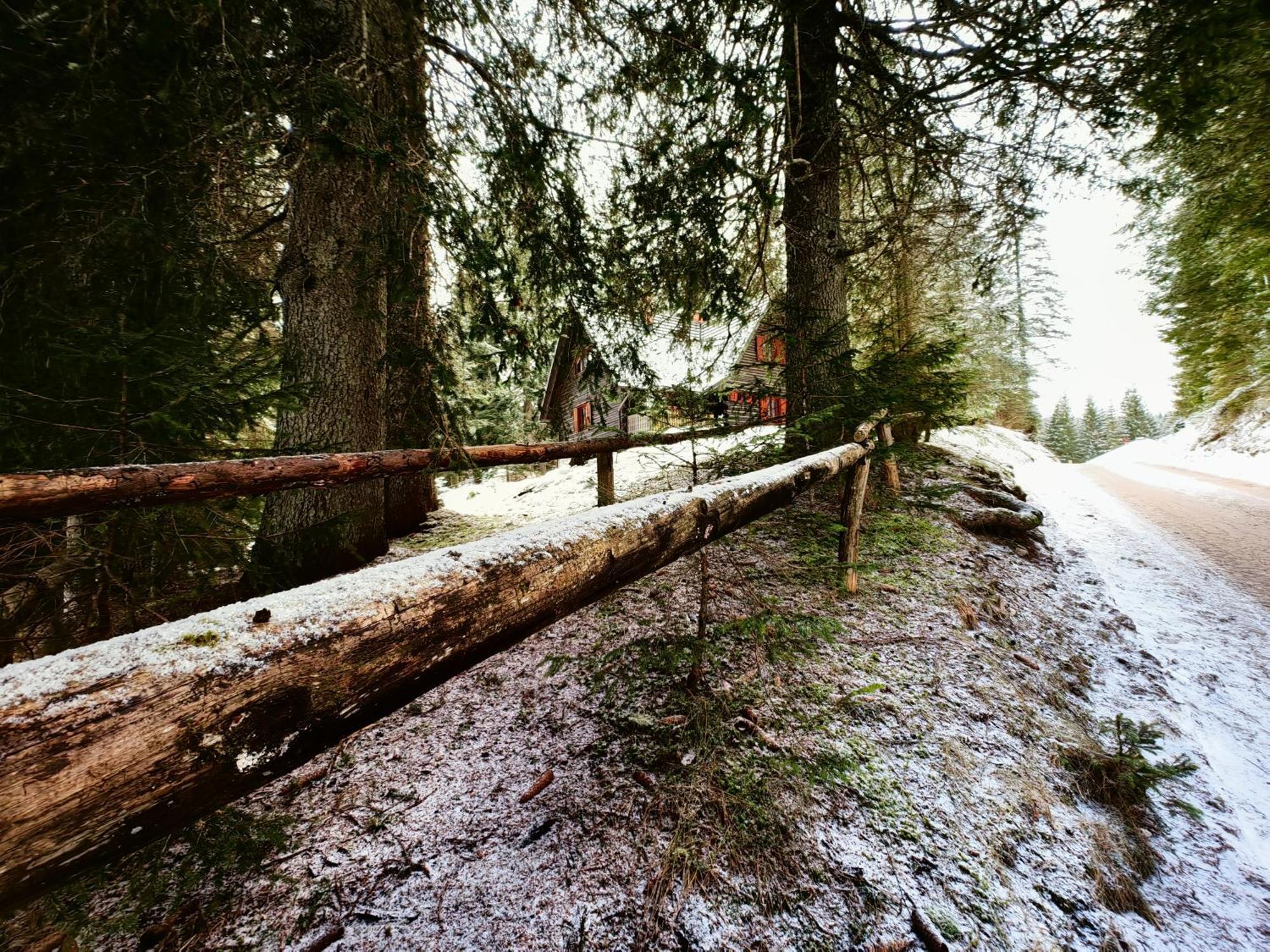 Chalet Stara Jelka Pokljuka Zgornje Gorje Zewnętrze zdjęcie
