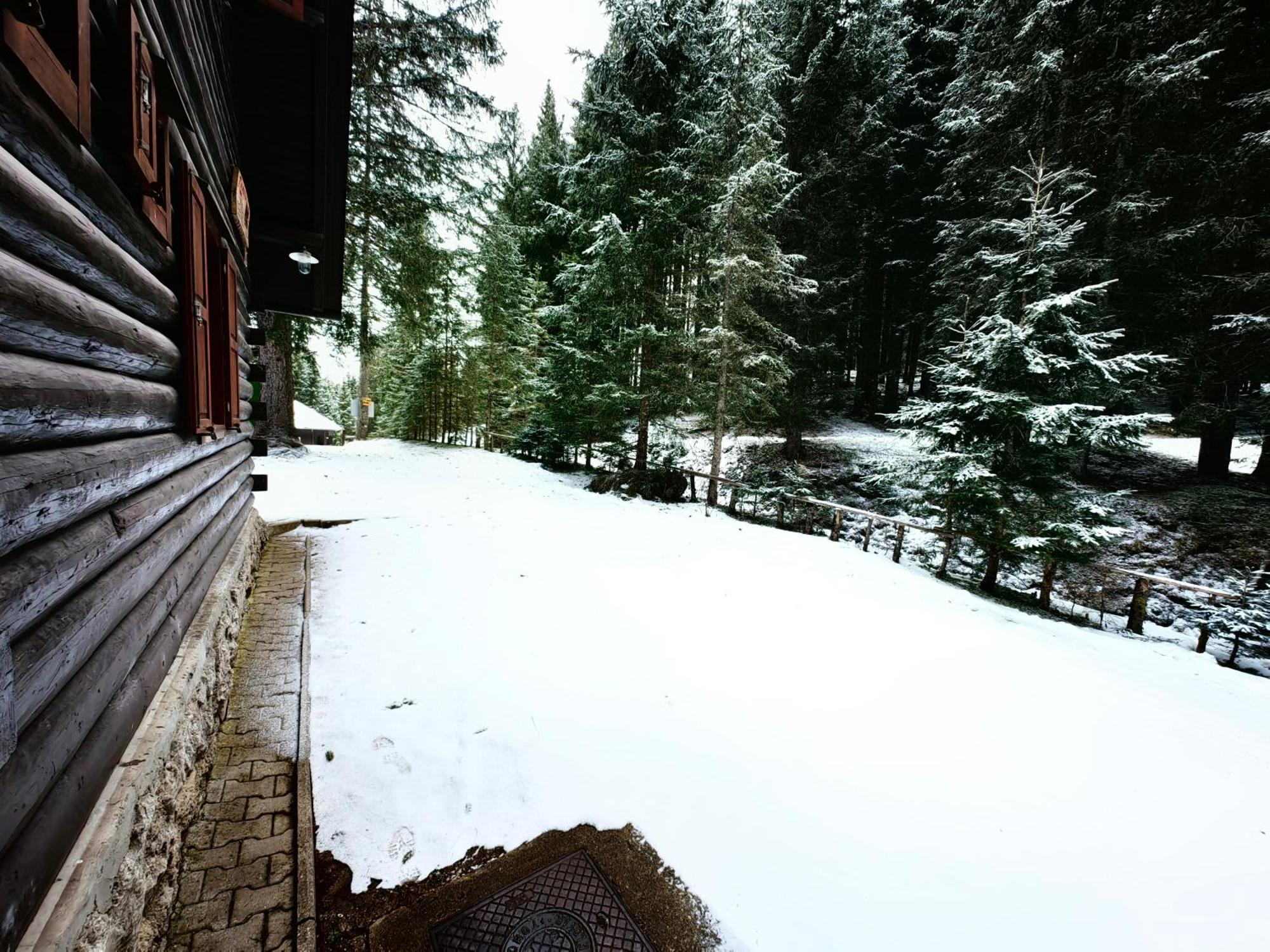 Chalet Stara Jelka Pokljuka Zgornje Gorje Zewnętrze zdjęcie