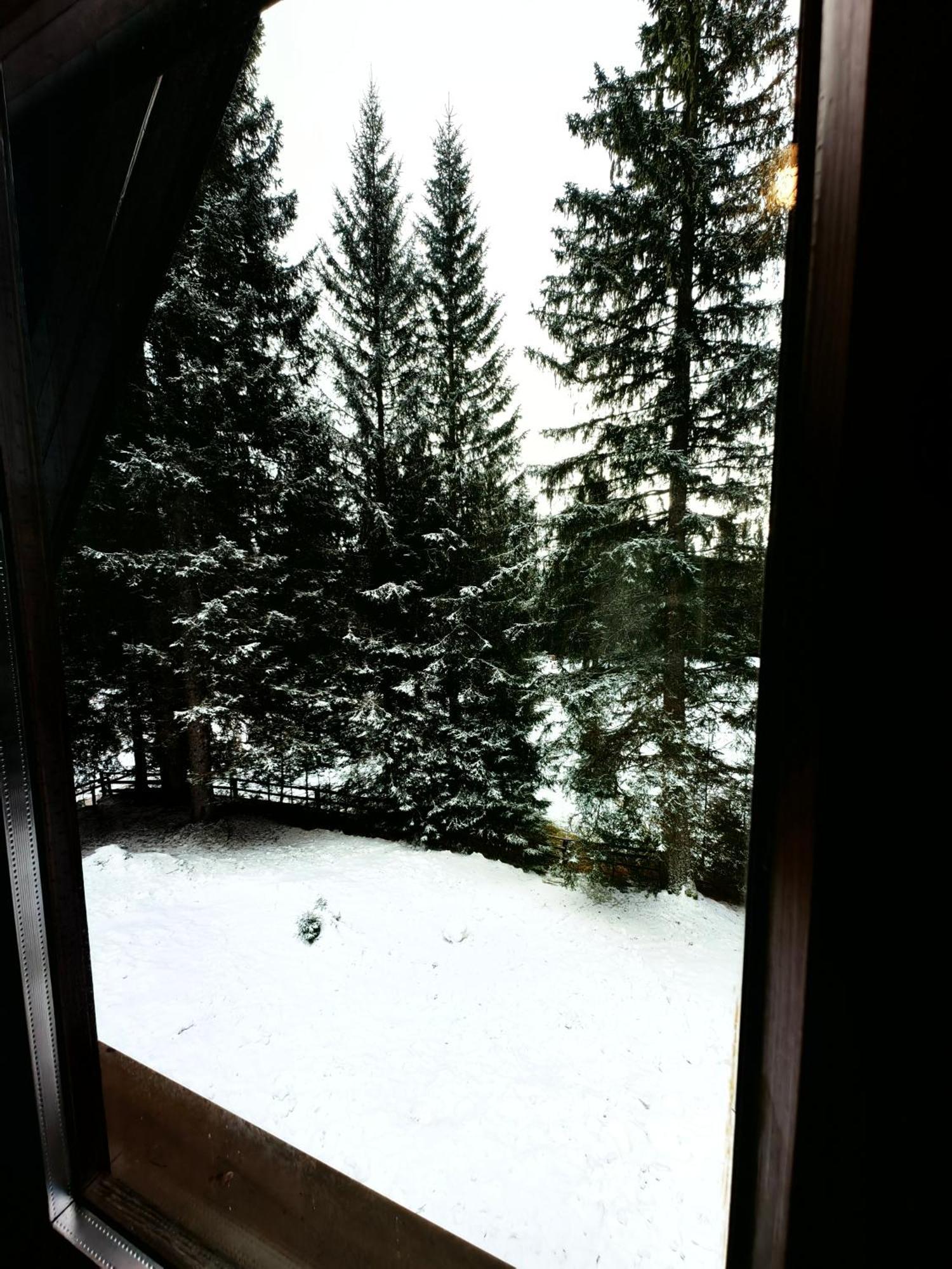 Chalet Stara Jelka Pokljuka Zgornje Gorje Zewnętrze zdjęcie