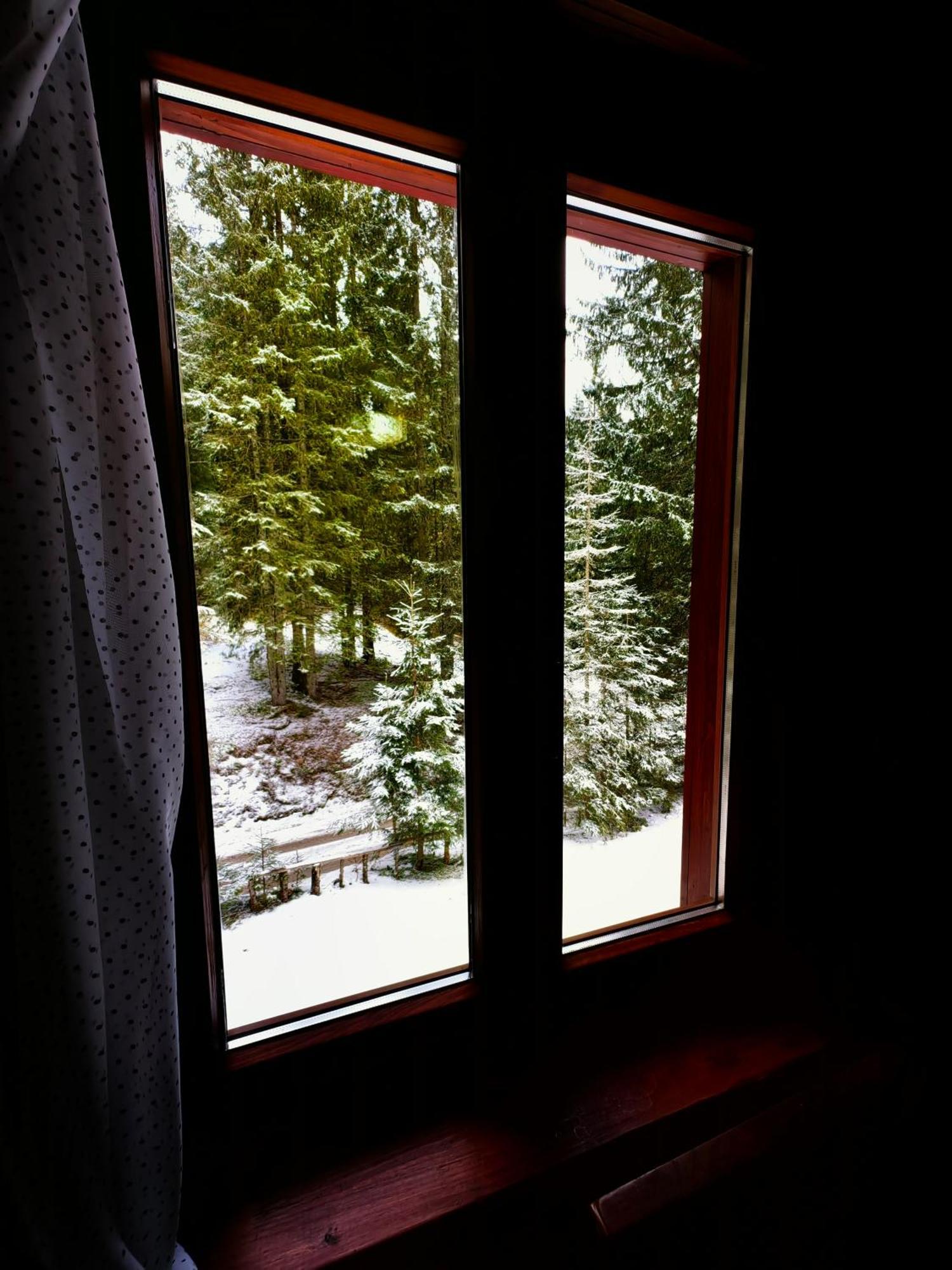 Chalet Stara Jelka Pokljuka Zgornje Gorje Zewnętrze zdjęcie