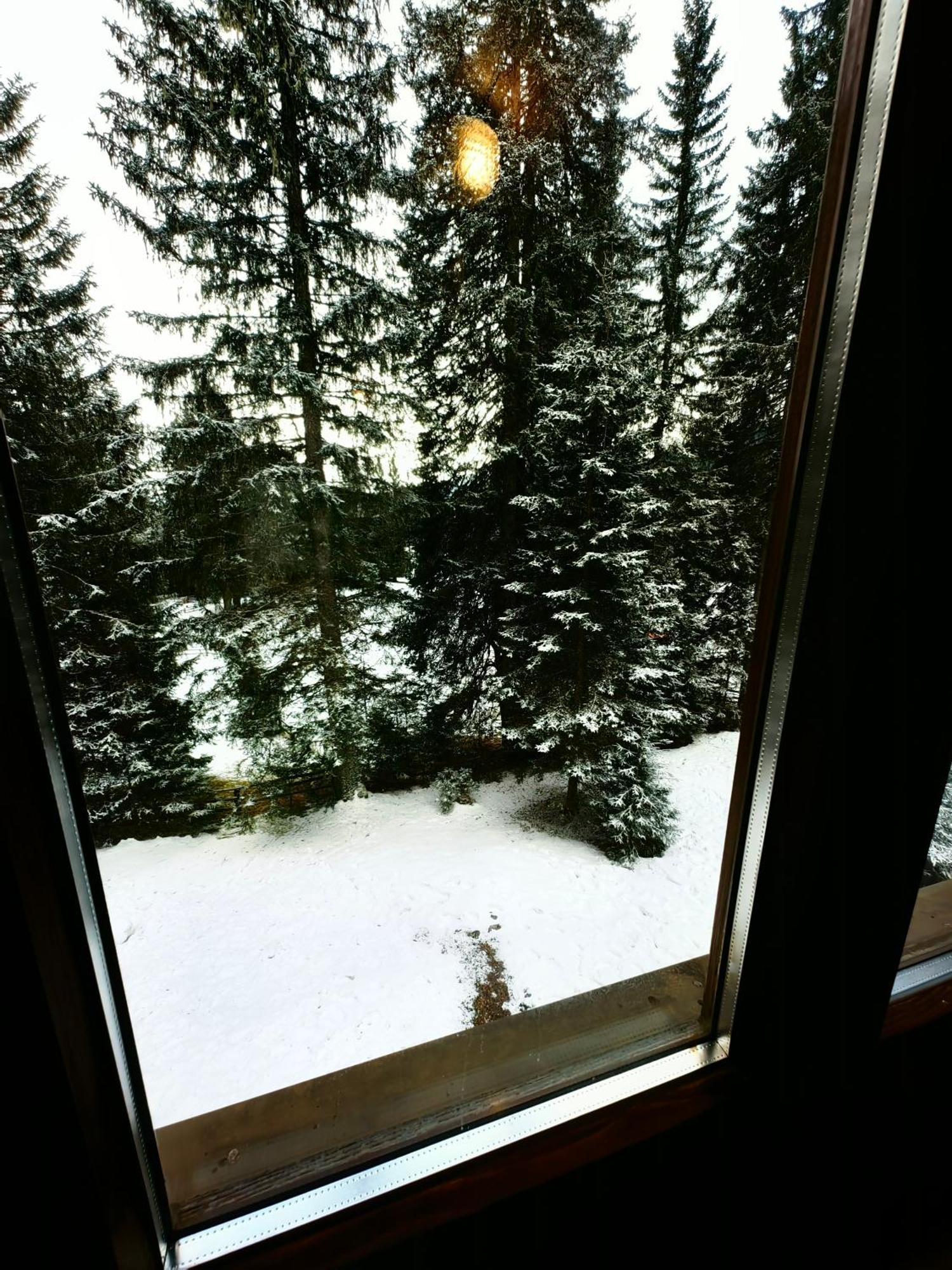 Chalet Stara Jelka Pokljuka Zgornje Gorje Zewnętrze zdjęcie